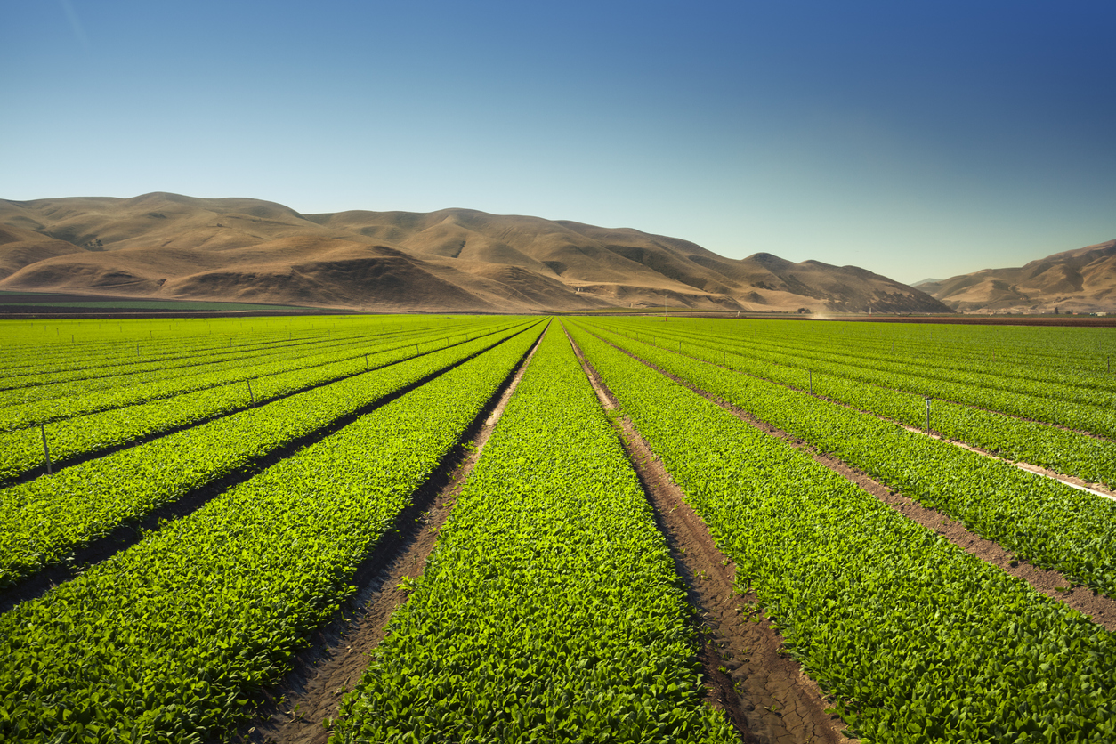 SCL Spotlight Central California Agriculture